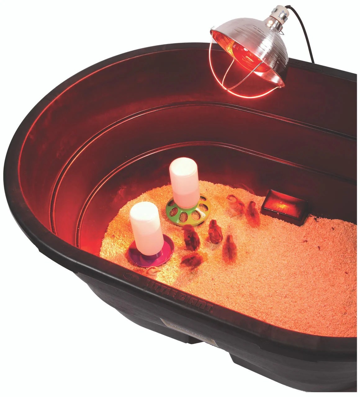Chicken-Brooder-1-Bulb-LG__17652.jpg