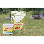 ph550-wonder-probiotics__11544-1.jpg